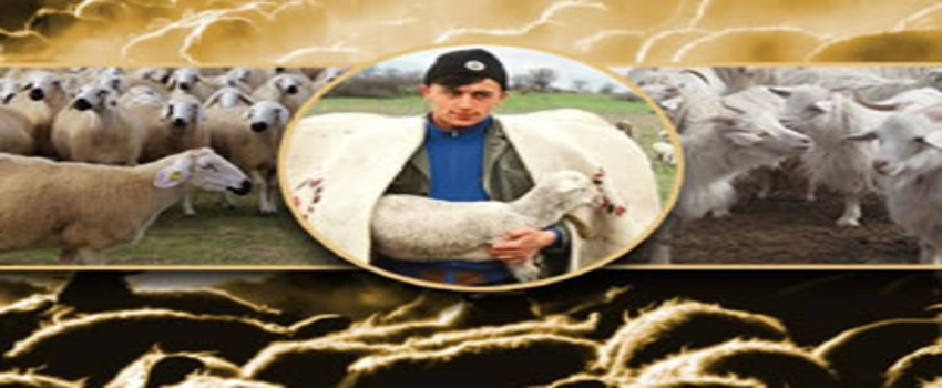 80 bin Üstün Nitelikli Damızlık Üretildi!