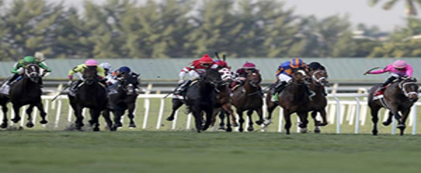 Bakan Pakdemirli: `Ülke Çapında Tüm At Yarışları Geçici Olarak Ertelenmiştir`