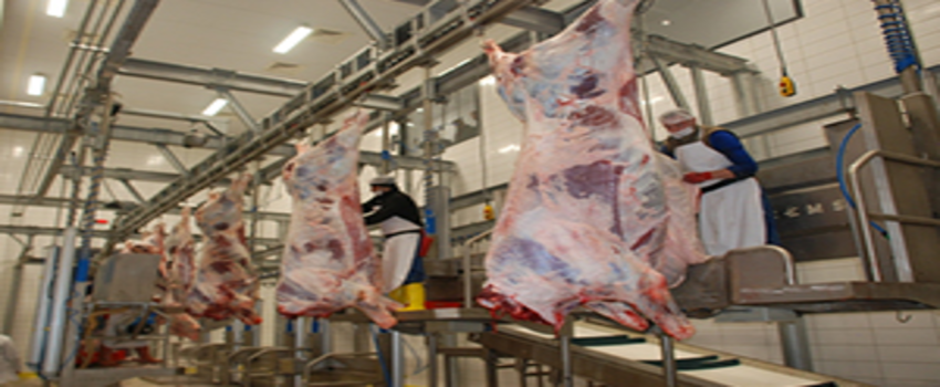 Trabzon Et Kombinası`nın İhalesi 21 Nisan`da Yapılacak