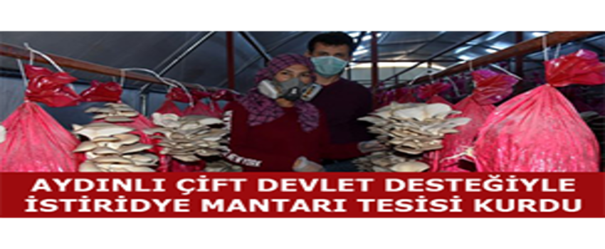 Aydınlı Çift Devlet Desteğiyle İstiridye Mantarı Tesisi Kurdu