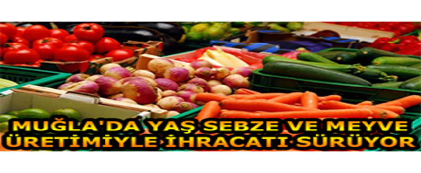 Muğla`da Yaş Sebze ve Meyve Üretimiyle İhracatı Sürüyor