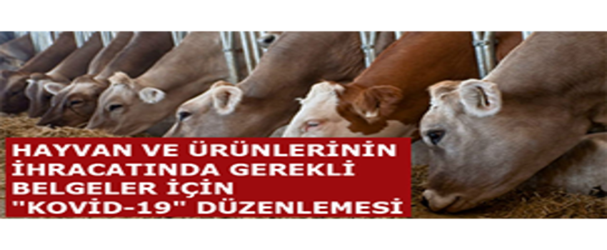 Hayvan ve Ürünlerinin İhracatında Gerekli Belgeler İçin `Kovid-19` Düzenlemesi