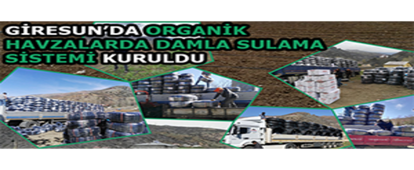Giresun`da Organik Havzalarda Damla Sulama Sistemi Kuruldu