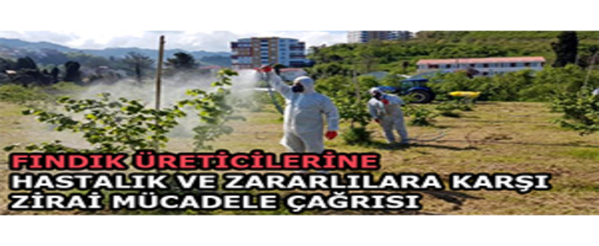Fındık Üreticilerine Hastalık ve Zararlılara Karşı Zirai Mücadele Çağrısı