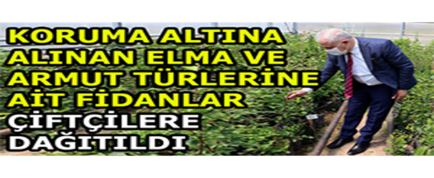 Koruma Altına Alınan Elma ve Armut Türlerine Ait Fidanlar Çiftçilere Dağıtıldı