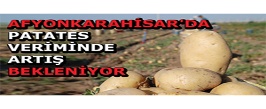 Afyonkarahisar`da Patates Veriminde Artış Bekleniyor