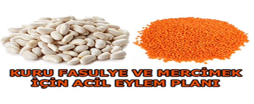 Kuru Fasulye Ve Mercimek İçin Acil Eylem Planı