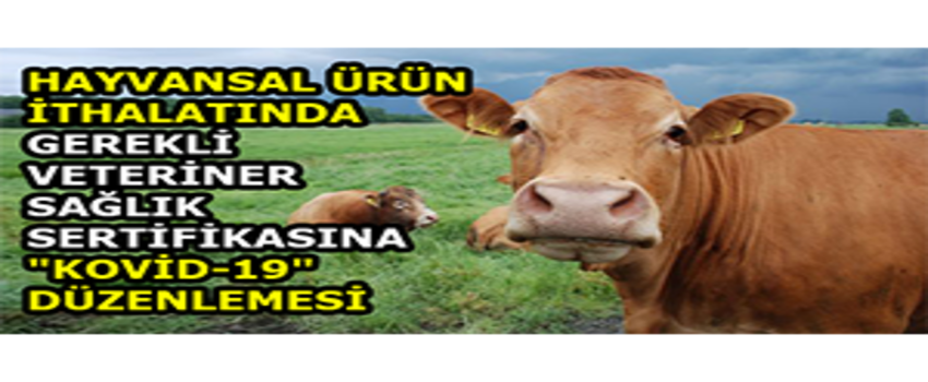 Hayvansal Ürün İthalatında Gerekli Veteriner Sağlık Sertifikasına `Kovid-19` Düzenlemesi
