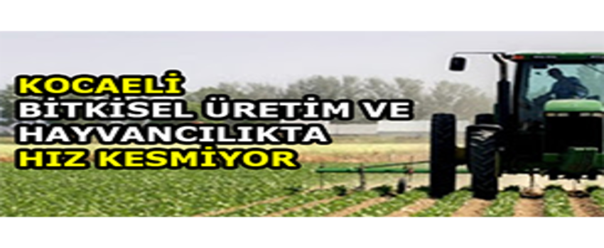 Kocaeli Bitkisel Üretim ve Hayvancılıkta Hız Kesmiyor