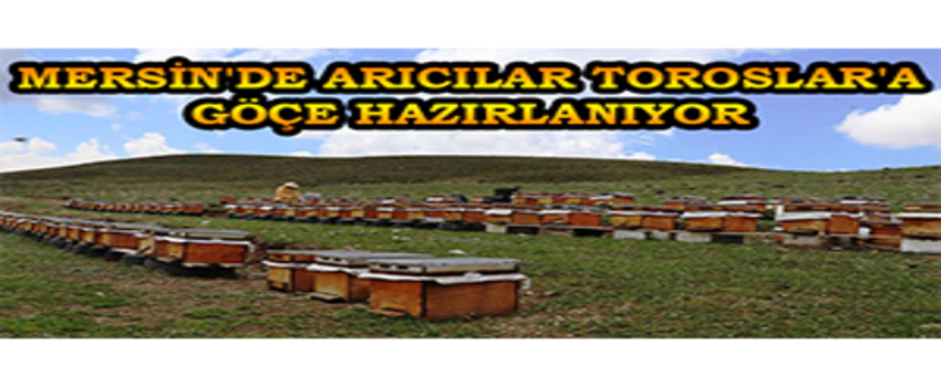 Mersin`de Arıcılar Toroslar`a Göçe Hazırlanıyor