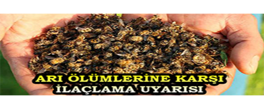 Arı Ölümlerine Karşı İlaçlama Uyarısı