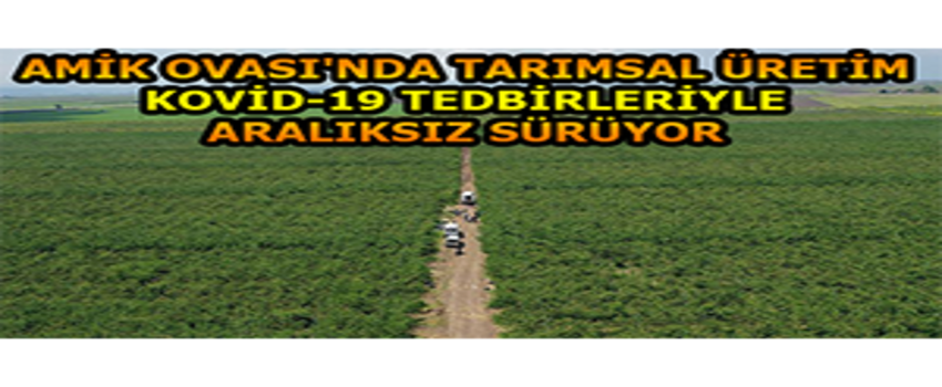 Amik Ovası`nda Tarımsal Üretim Kovid-19 Tedbirleriyle Aralıksız Sürüyor