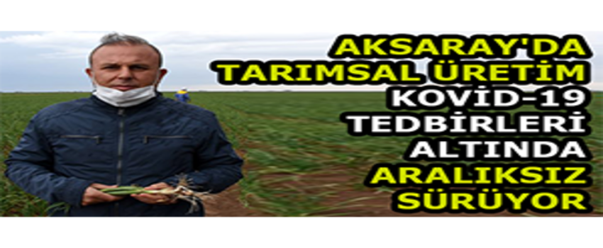 Aksaray`da Tarımsal Üretim Kovid-19 Tedbirleri Altında Aralıksız Sürüyor