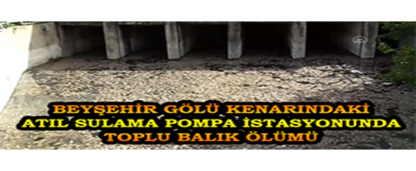 Beyşehir Gölü Kenarındaki Atıl Sulama Pompa İstasyonunda Toplu Balık Ölümü