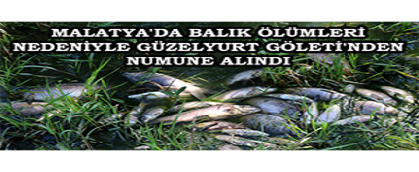 Malatya`da Balık Ölümleri Nedeniyle Güzelyurt Göleti`nden Numune Alındı