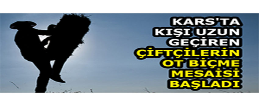 Kars`ta Kışı Uzun Geçiren Çiftçilerin Ot Biçme Mesaisi Başladı