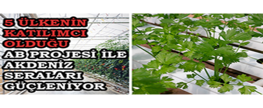 5 ÜLKENİN KATILIMCI OLDUĞU AB PROJESİ İLE AKDENİZ SERALARI GÜÇLENİYOR