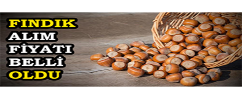 Fındık Alım Fiyatı Belli Oldu
