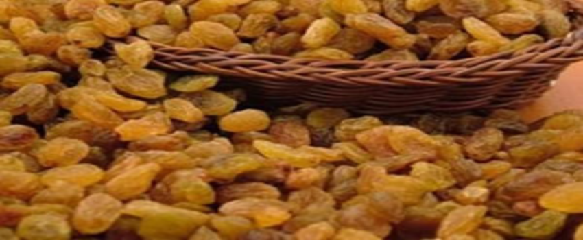 KURU ÜZÜM BEDELLERİ ÜRETİCİLERİN HESAPLARINA YATIRILDI