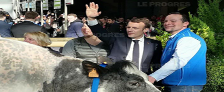 Fransa Tarım Fuarı İptal Edildi