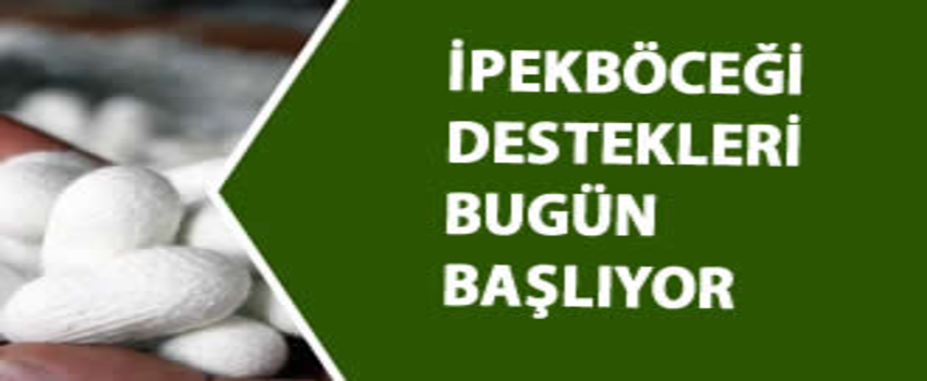 İpekböceği  Destekleri Bugün Başlıyor