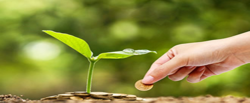 Tarım ÜFE Yükselişte