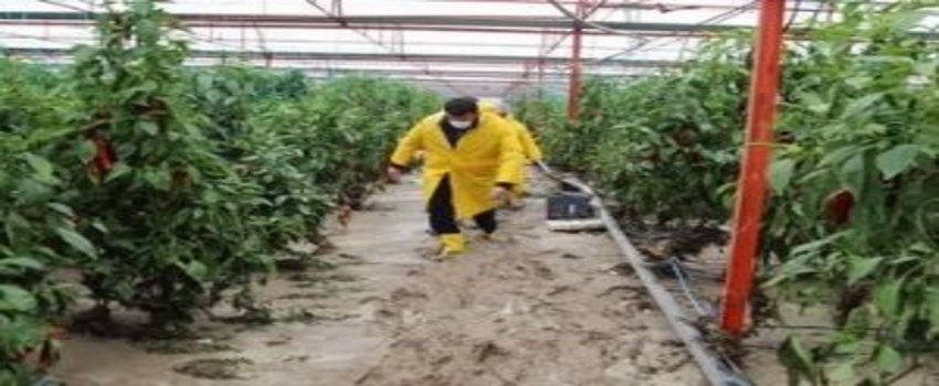 Antalya`da Hasar Tespit Çalışmalarına Başlandı