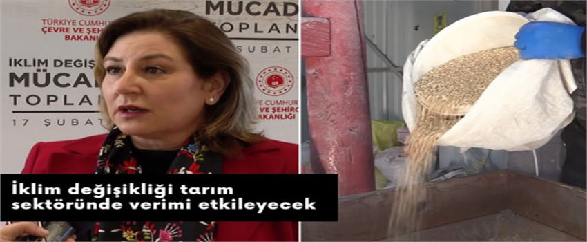 İKLİM DEĞİŞİKLİĞİ TARIM SEKTÖRÜNDE VERİMİ ETKİLEYECEK