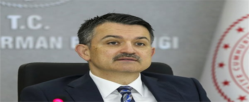 BAKAN PAKDEMİRLİ: `HAMSİ AVCILIĞINDA KISITLAMA 7 ŞUBAT SAAT 01.00`DEN İTİBAREN SONA ERECEK`