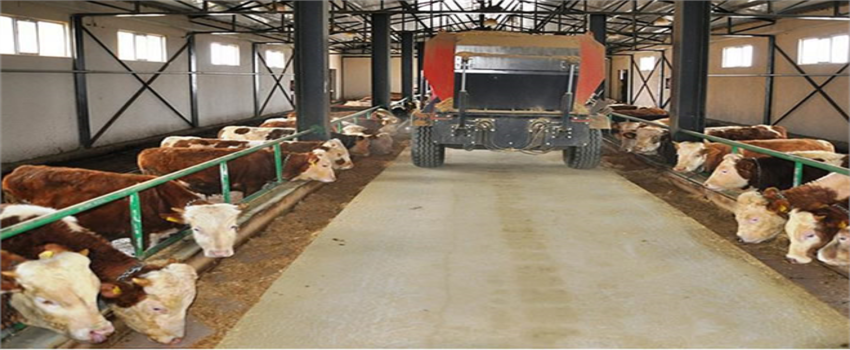 8 YILDA ÇİFTLİK SAHİBİ OLDU!