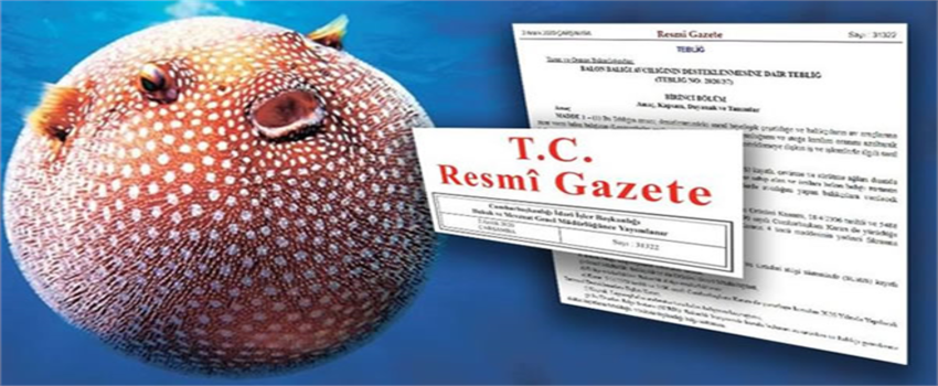 DESTEKLEME ÖDEMESİ ŞARTLARI RESMİ GAZETEDE YAYIMLANDI!