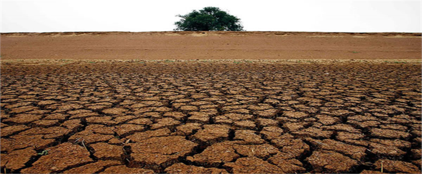 Tarımsal Üretim Dönemi Kuraklık Risk Tahmin Raporu Açıklandı!