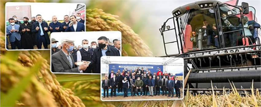 TARIM VE ORMAN BAKANI DR. PAKDEMİRLİ: DAMLA SULAMA YAPAN ÇİFTÇİNİN KÂRI ARTIYOR