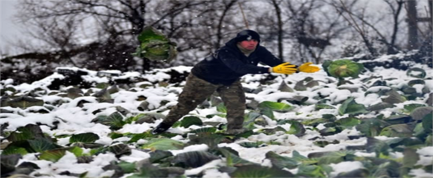 Soğuk Hava Geliyor !