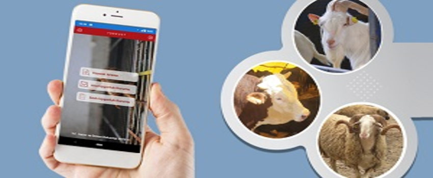 Kurbanlıkların Kayıtlarına Dikkat!