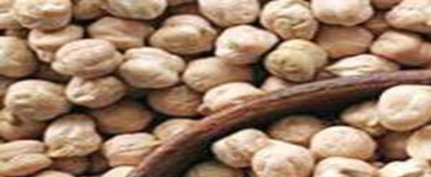 Bu Yıl Nohut Üretiminde Artış Bekleniyor