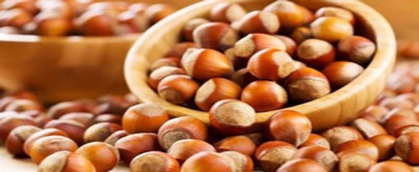 Türkiye`nin Üretiminde Lider Olduğu Fındık, 10 Ayda 1,3 Milyar Dolar Kazandırdı