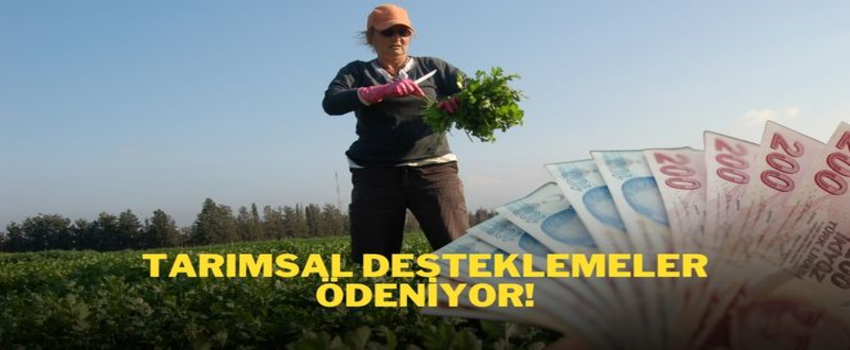 DESTEKLEMELER ÖDENİYOR!