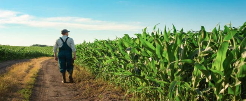 Desteklemeler Bugün Ödeniyor!