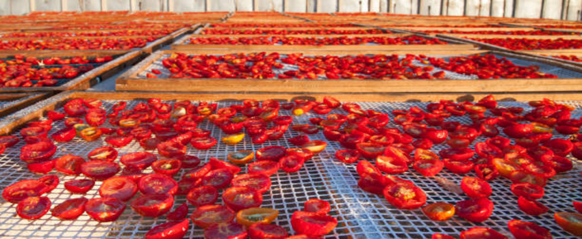 Tarsus Belediyesi Tarımı Canlandırmak İçin Yeni Adımlar Atıyor