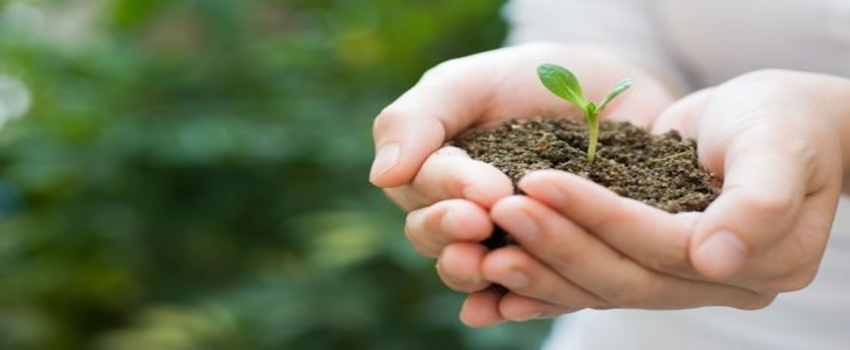 Organik Tarımda Kullanılacak Gübreler Belirlendi!