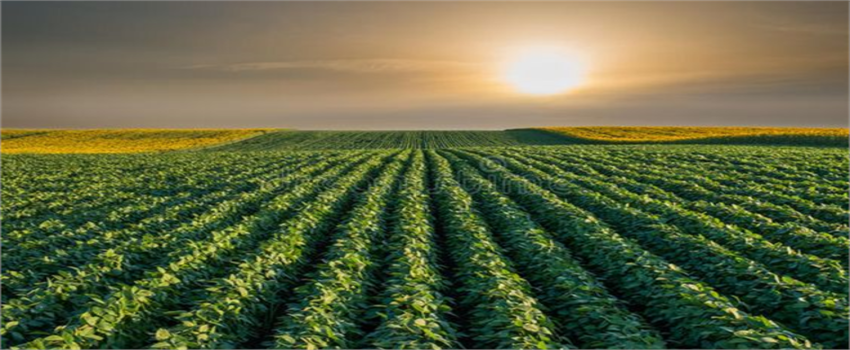 Desteklemeler Ödeniyor!