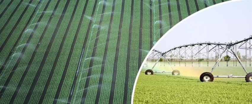 Desteklemeler Ödeniyor!