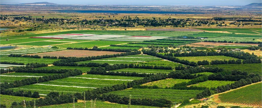 Desteklemeler Ödeniyor!