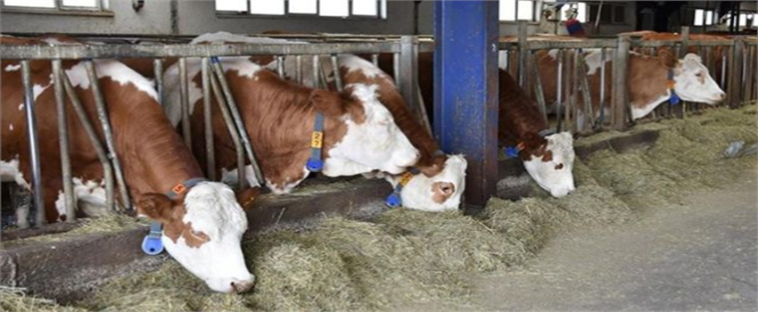 Desteklemeler Ödeniyor!