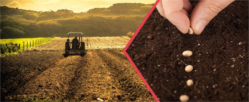 Desteklemeler Ödendi!