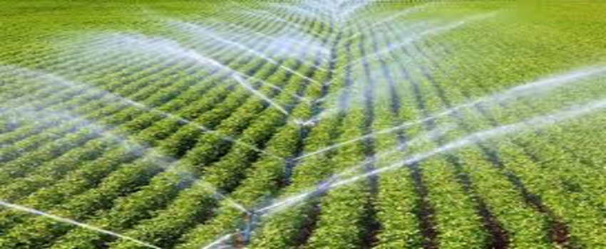 Desteklemeler Ödendi!