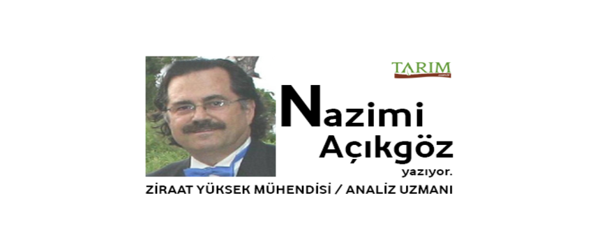 Dünya Buğday Verimi Rekora Koşarken