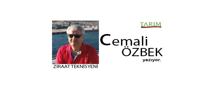 TARIMDA TEKNOLOJİ KULLANIMI NEDEN ZORUNLU