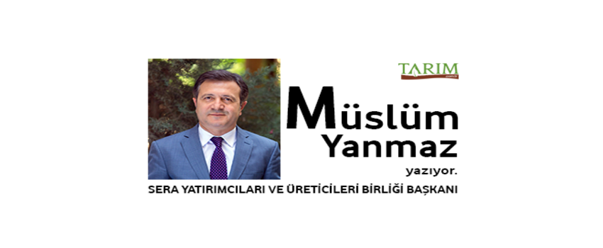 DOMATES ; HER MEVSİM TÜKETİN  , ÖMRÜNÜZ UZASIN